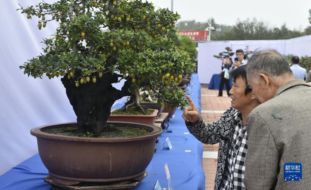 银河系娱乐